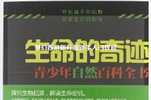梦幻西游新开服新手入门攻略